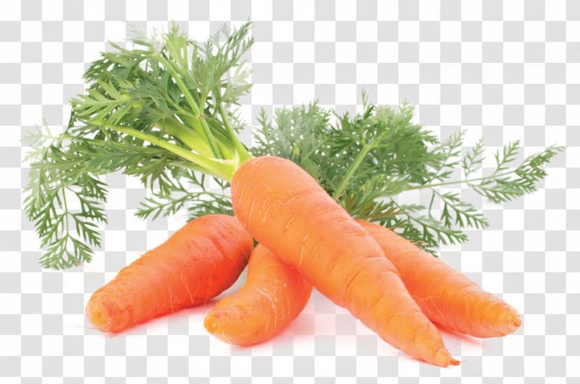Carrot Organic Food Root Vegetables Juice - Bunch Of Carrots Transparent PNG