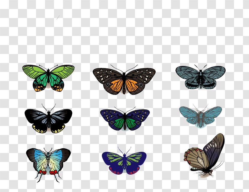 Butterfly Drawing Clip Art - Royaltyfree - Vector Transparent PNG