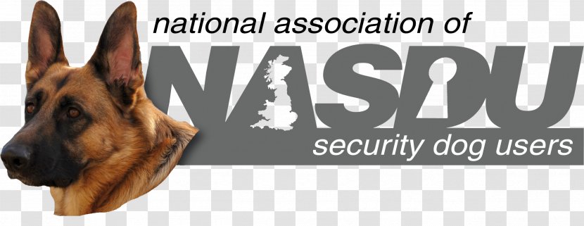 Detection Dog NASDU Training Guard Transparent PNG