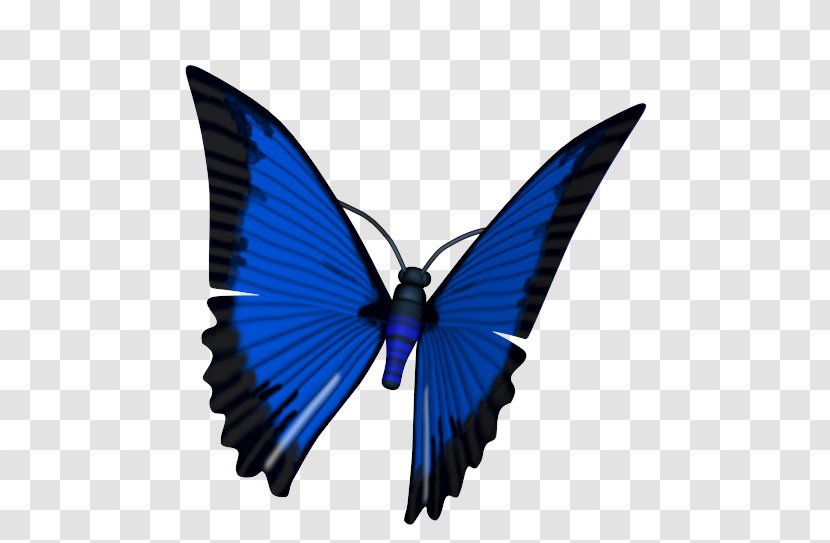 Butterfly Brush-footed Butterflies Animated Film 3D Computer Graphics Animation - 3d Transparent PNG