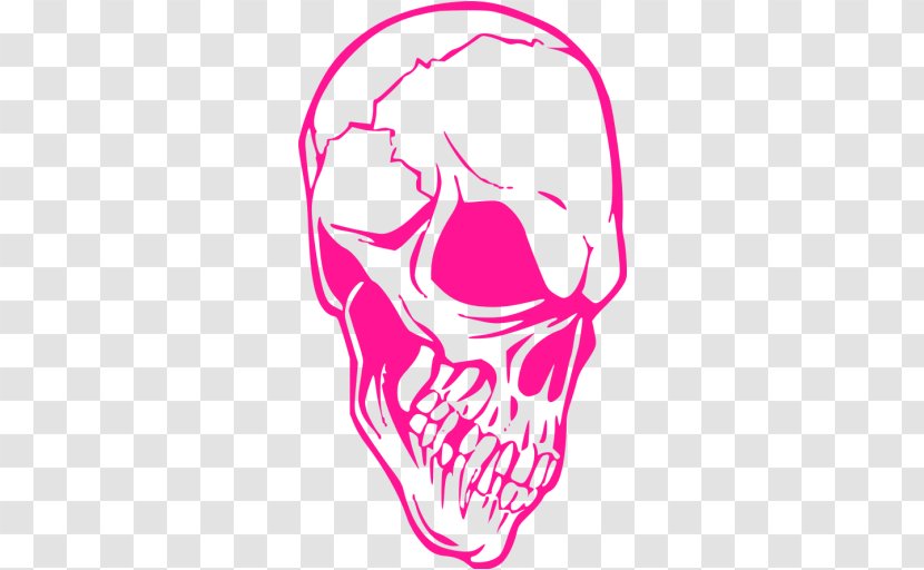 Skull Calavera Nose Face Clip Art - Frame Transparent PNG