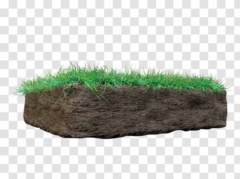 Soil Horizon Stock Photography - Cross Section - Grass Family Transparent PNG