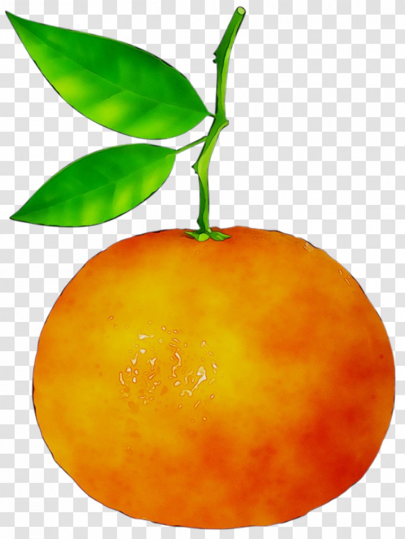 Clementine Mandarin Orange Tangerine Bitter - Food Transparent PNG