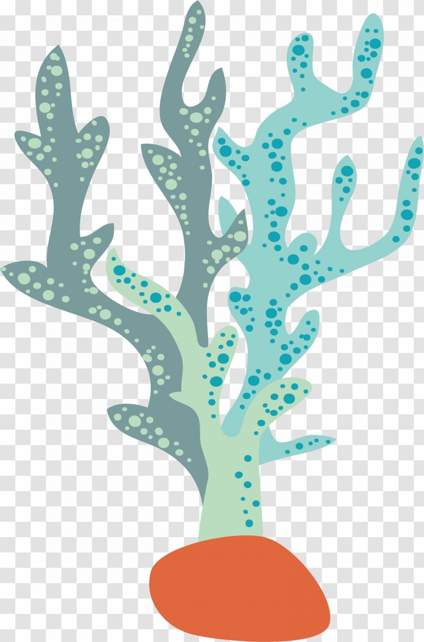 Seaweed Aquatic Plant - LightColored Vector Transparent PNG