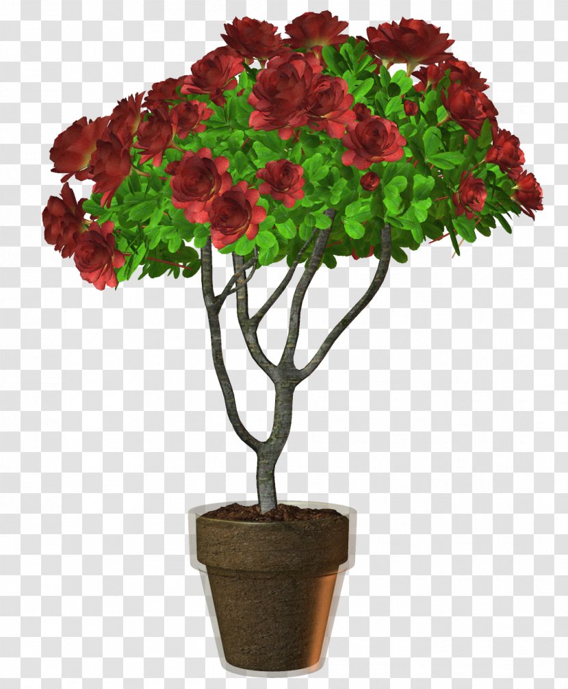 Flowerpot Cut Flowers Houseplant - Albom - Plant Transparent PNG