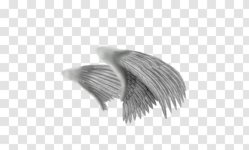 Drawing Angel Feather - Stock Photography - Creative Gray Wings Transparent PNG