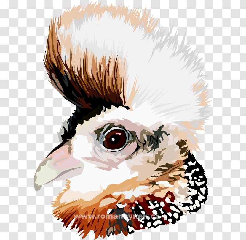 Owl Clip Art Illustration Beak Carnivores - Watercolor Transparent PNG