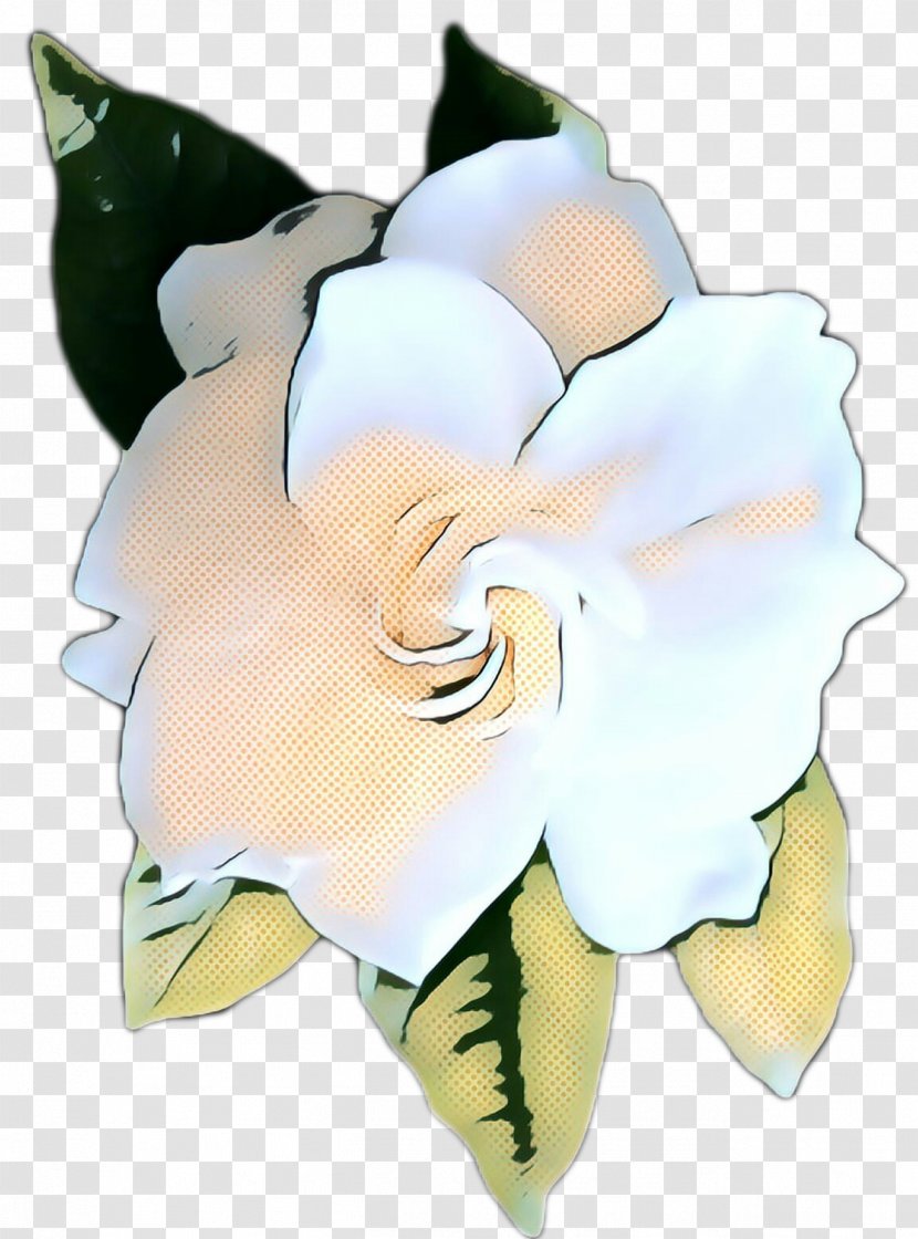 Flowers Background - Retro - Plant White Transparent PNG