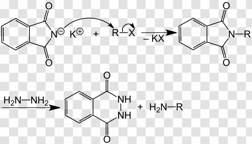 Potassium Phthalimide Gabriel Synthesis Chemistry Chemical Reaction Transparent PNG