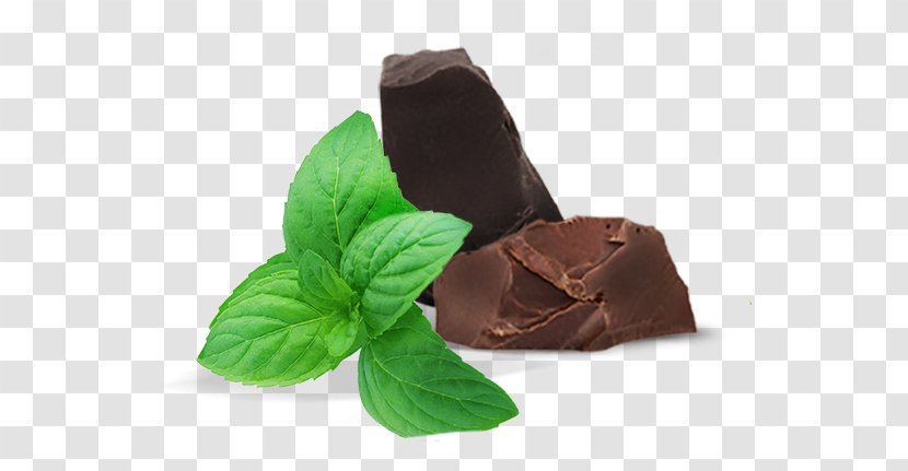 Chocolate Leaf Plant Matter Transparent PNG