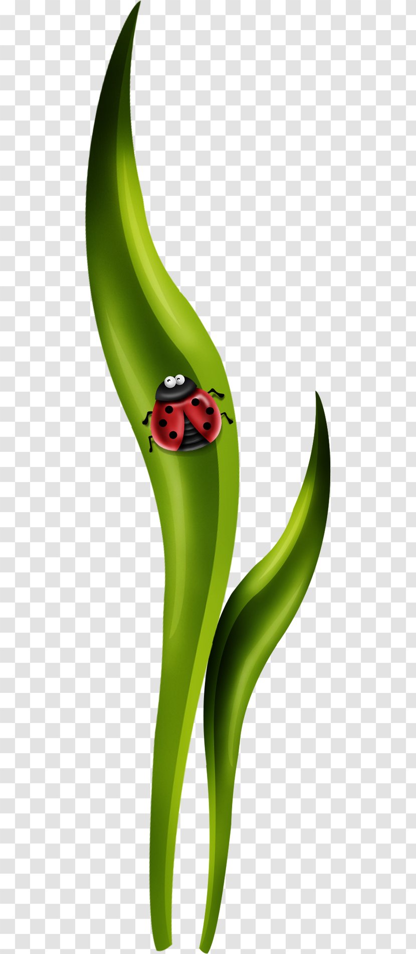 Cartoon Green - Dessin Animxe9 - Creative Leaves Ladybug Transparent PNG