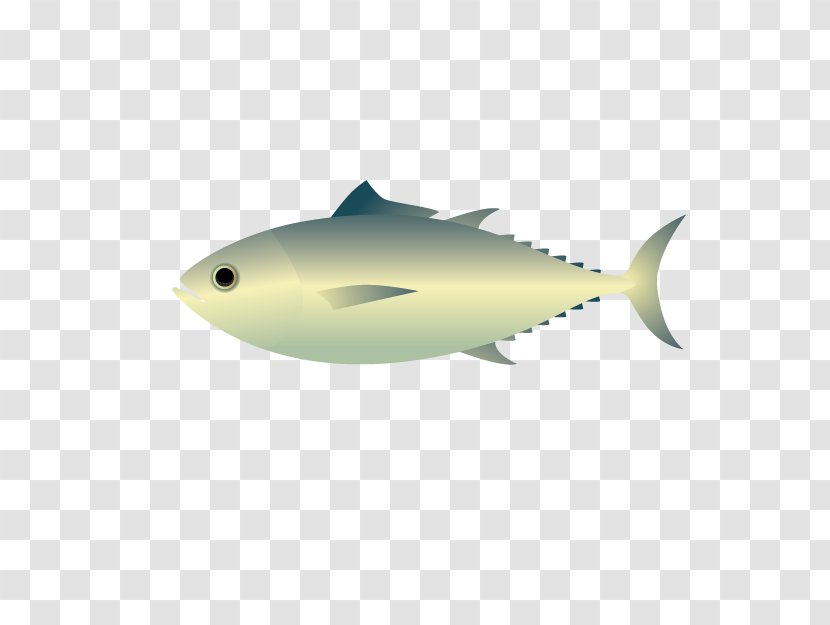 Sushi Cartoon - Fish - Thunnus Cod Transparent PNG