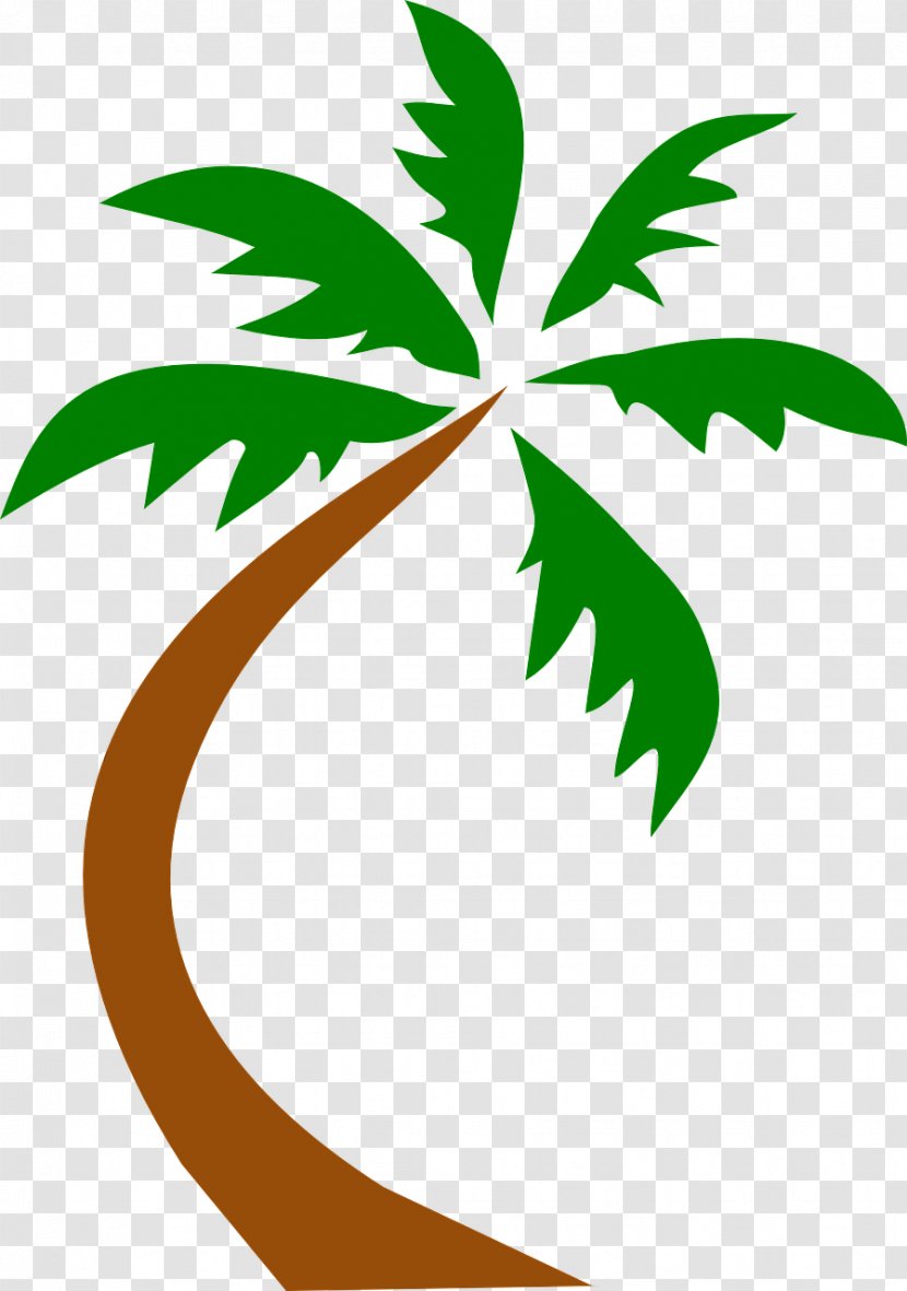Arecaceae Hawaii Beach Tree Carib Shack - Coconut Transparent PNG