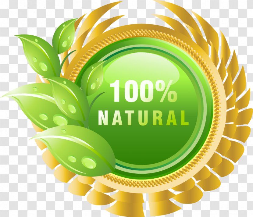 Dietary Supplement Health Natural Product Extract Oil - Nature - Spring Leaves Beautifully Medal Transparent PNG