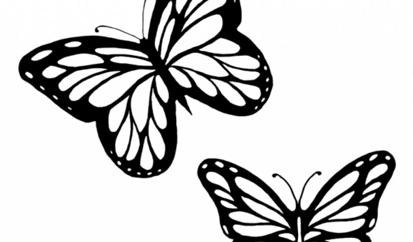 Monarch Butterfly Outline Drawing Clip Art - Free Content - Butterflies Black And White Transparent PNG