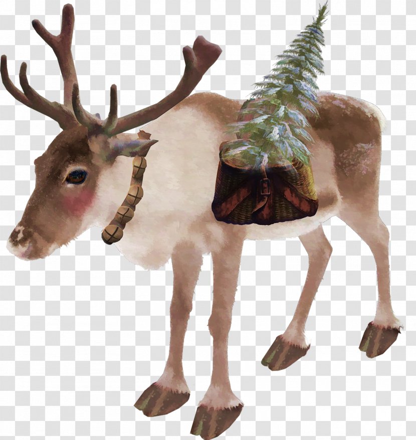 Rudolph Reindeer Elk Antler - Fauna Transparent PNG