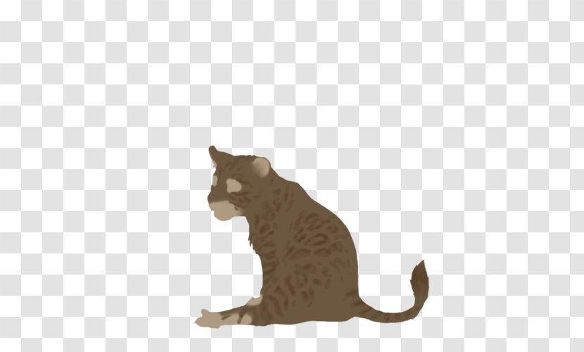 Whiskers Kitten Domestic Short-haired Cat Fauna - Puma Transparent PNG