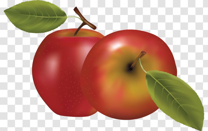 Fruit - Natural Foods - Apple Transparent PNG