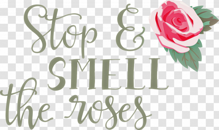 Rose Stop And Smell The Roses Transparent PNG