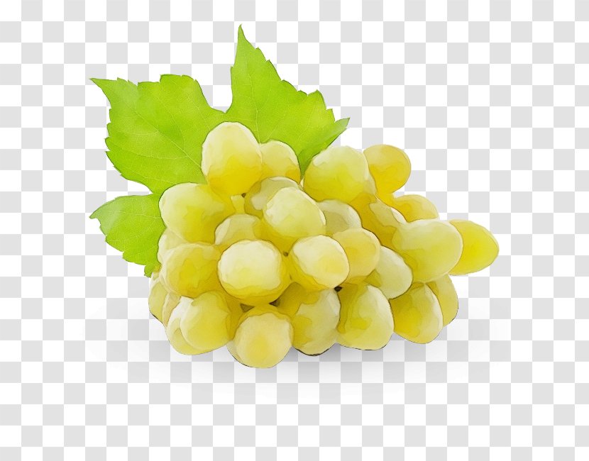 Grape Seedless Fruit Grapevine Family Food - Vitis - Plant Sultana Transparent PNG