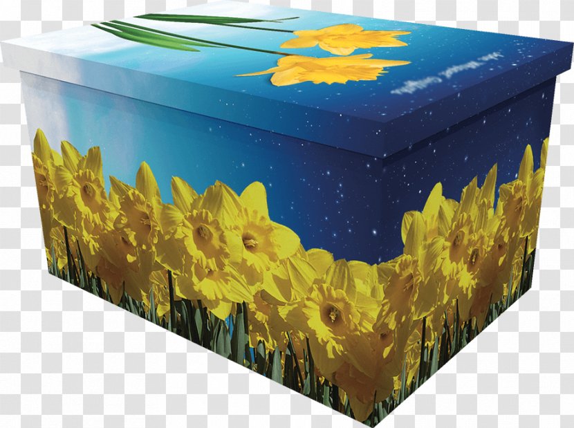 Coffin Box I Wandered Lonely As A Cloud Daffodil Flower Transparent PNG