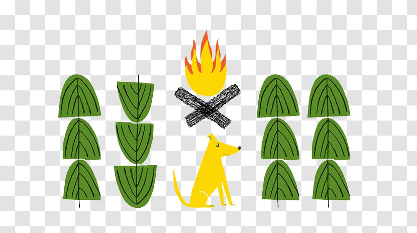 Torch Cartoon Drawing - Tree - Forest Transparent PNG