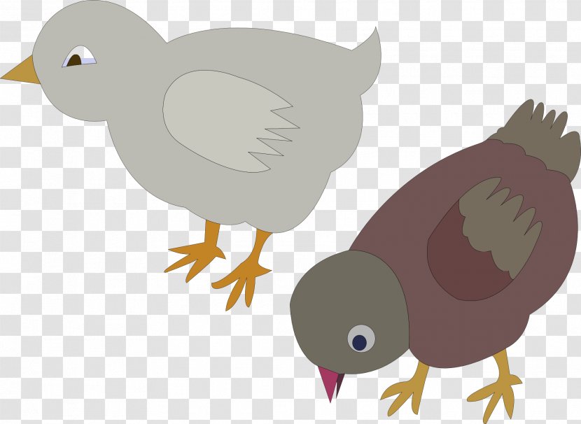 Chicken Meat Clip Art - Poultry - Pigeon Transparent PNG