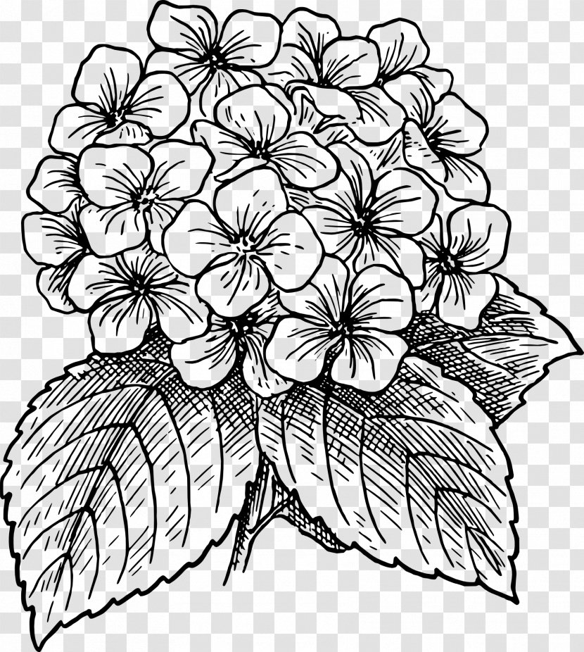 Flower Line Art - Cornales - Style Transparent PNG