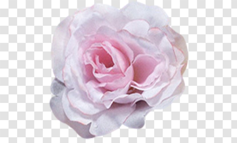 Garden Roses Centifolia Petal Dress Flower - Artificial Flowers Mala Transparent PNG