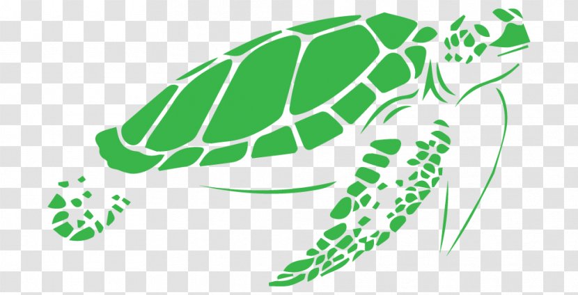 Sea Turtle Stencil Vector Graphics - Royaltyfree - Iguana Cages Best Transparent PNG