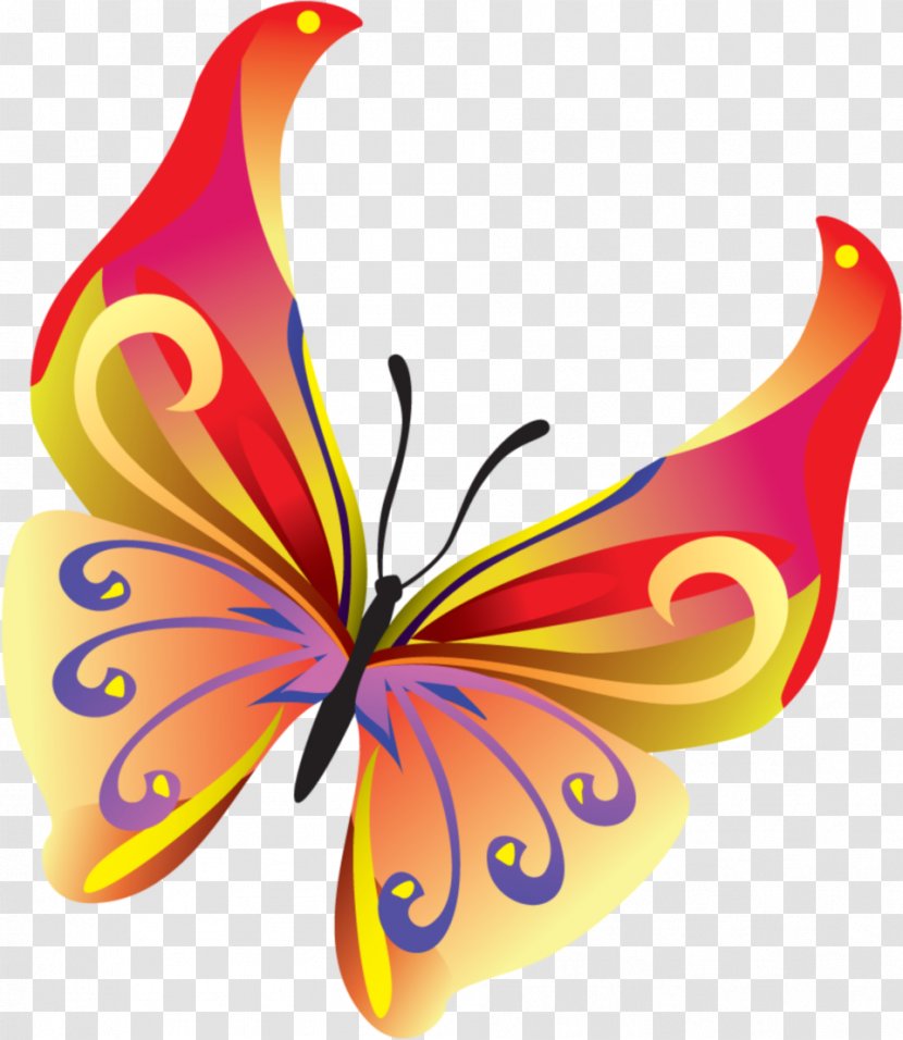 Butterfly Insect Clip Art - Wing - Fly Transparent PNG