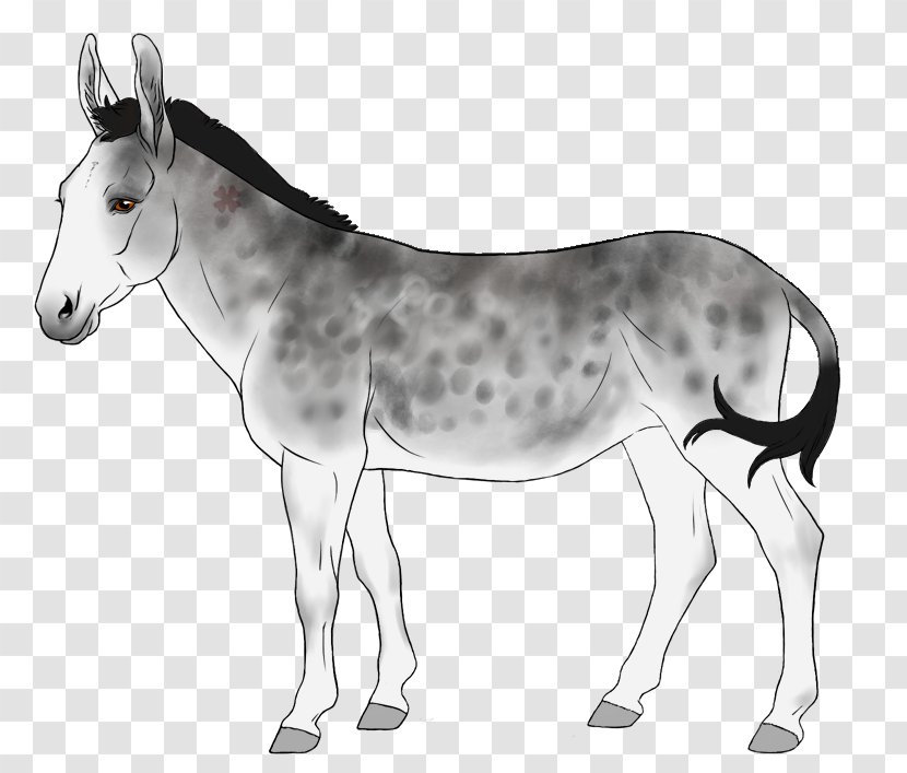 Mule Foal Donkey Mare Colt - Terrestrial Animal Transparent PNG