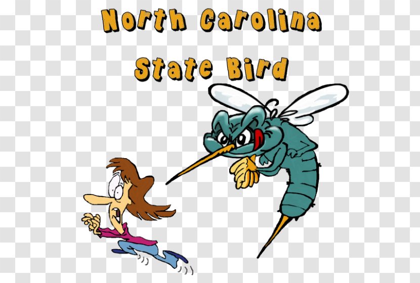 Mosquito Insect North Carolina Drawing Clip Art Transparent PNG