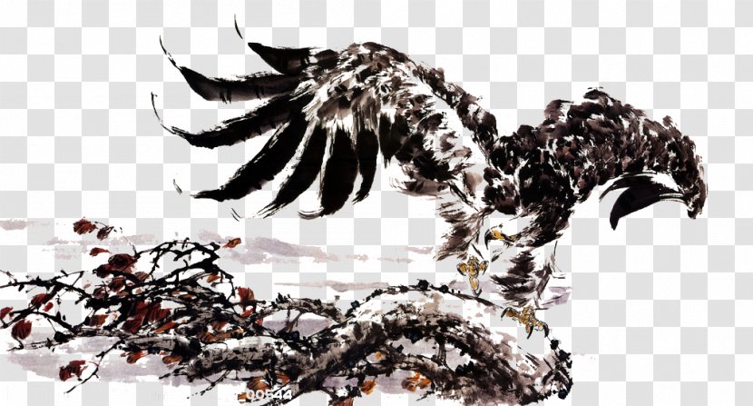 U6c34u58a8u753bu9e70 Ink Wash Painting Chinese Hawk - Wings And Of Works Transparent PNG