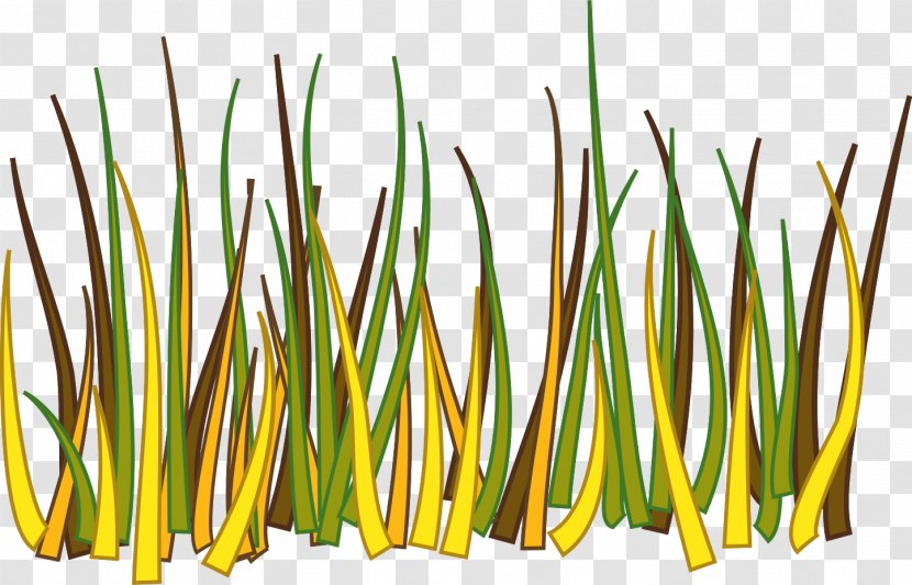 Grasses Drawing Clip Art - Grass Family - Border Transparent PNG