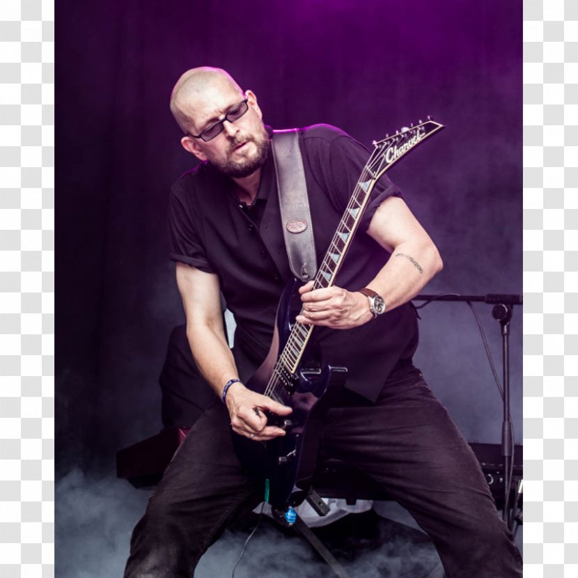 Guitar Dipl.-Ing. Stefan Hammermeister Musician Woodwind Instrument - Frame Transparent PNG