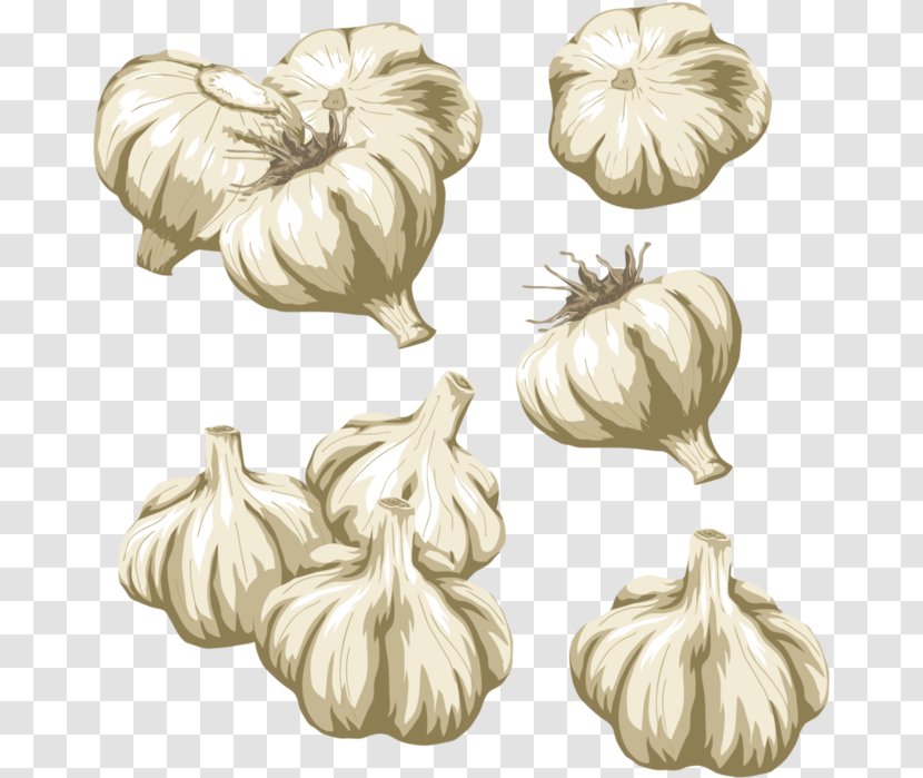 Vegetable Garlic Clip Art Transparent PNG