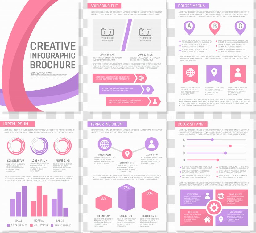 Chart Infographic - Reversal Film - PPT Material Transparent PNG