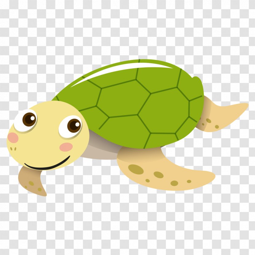 Sea Turtle Tortoise Vector Graphics - Avatar - Cute Transparent PNG