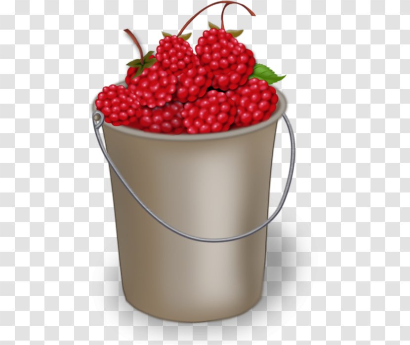 Red Raspberry Berries Fruit Clip Art - Boysenberry Transparent PNG