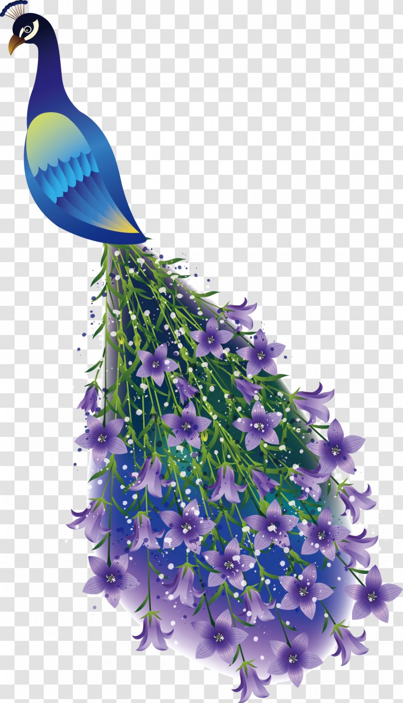 Peafowl Branch Drawing Illustration - Bellflower Family - Peacock Transparent PNG