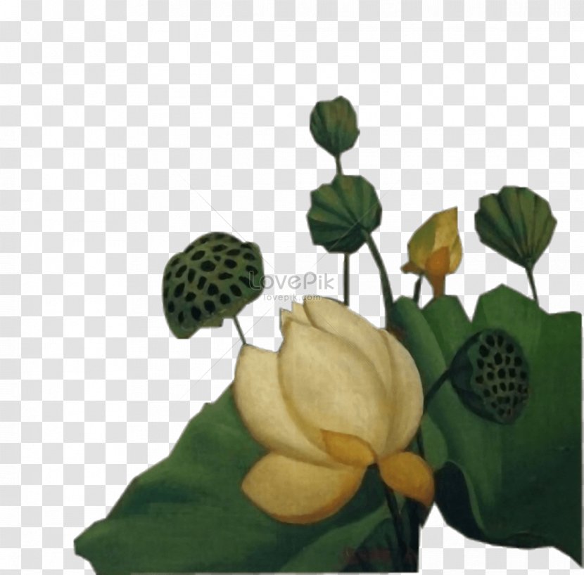 Image Graphics Illustration Download Photograph - Flowerpot - Egyptian Lotus Flower Painting Transparent PNG