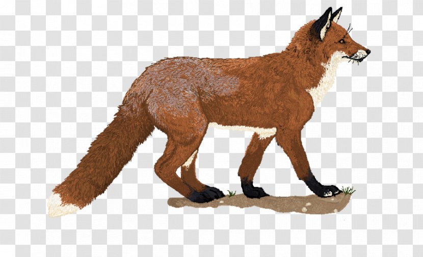 Red Fox Clip Art - Animal Figure - Images Free Transparent PNG