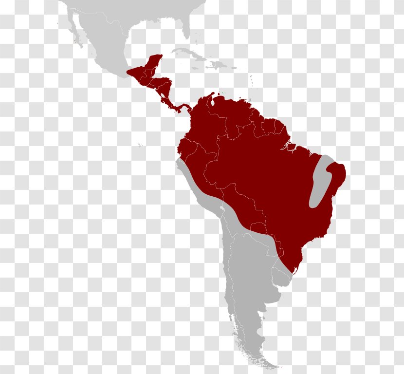 South America Latin Language English Map - Red Transparent PNG
