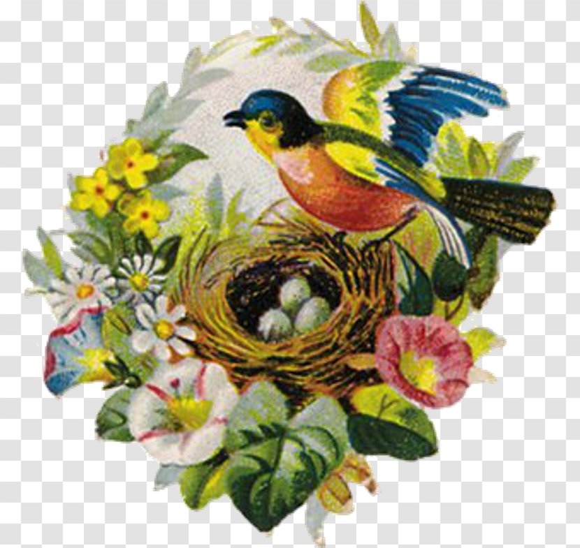 Bird Nest Bokmärke Beak - Art Transparent PNG