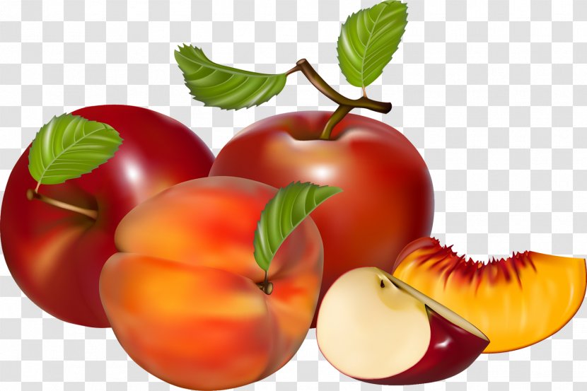 Fruit Apple Royalty-free - Potato And Tomato Genus - Berries Transparent PNG