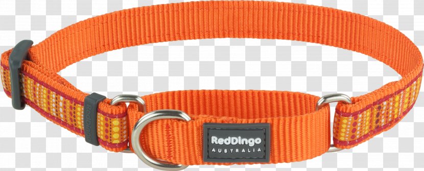 Dog Collar Dingo Martingale - Choker Transparent PNG