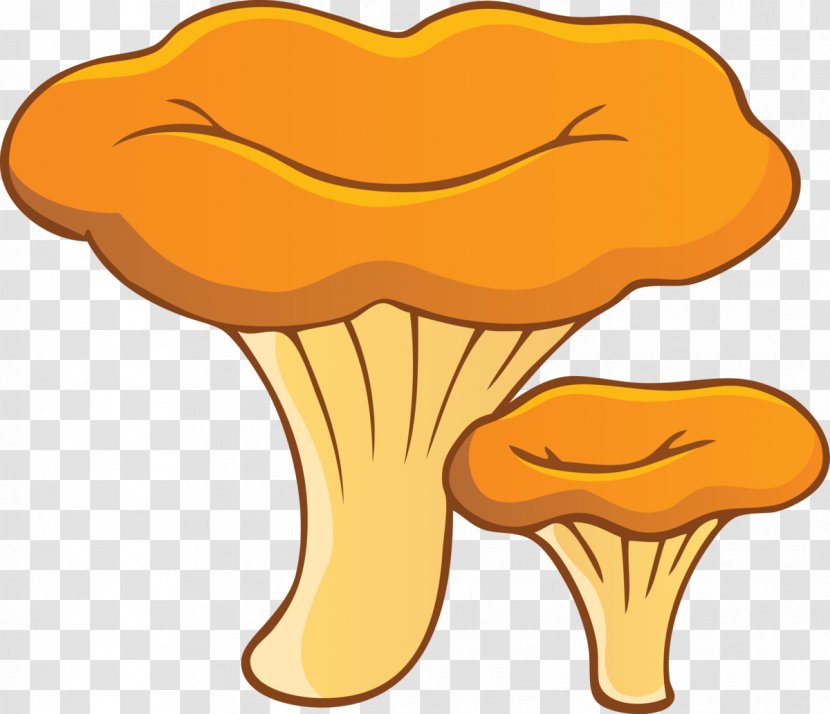 Chanterelle Fungus Edible Mushroom Aspen - Oyster Transparent PNG