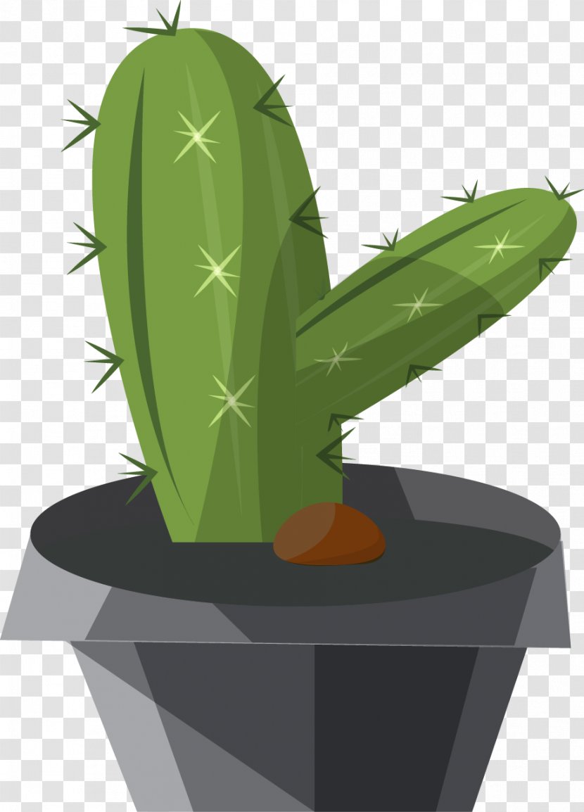Cactaceae Illustration - Exquisite Cartoon Cactus Transparent PNG