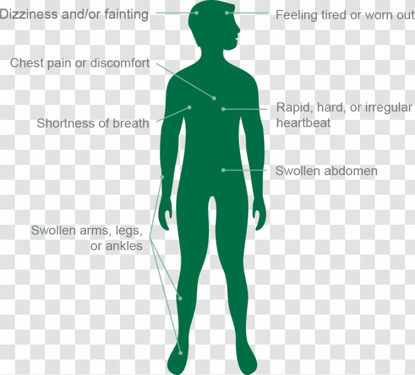 Human Graphic Design Shoulder Arm Pulmonary Hypertension - Tree - Body Diagram Transparent PNG